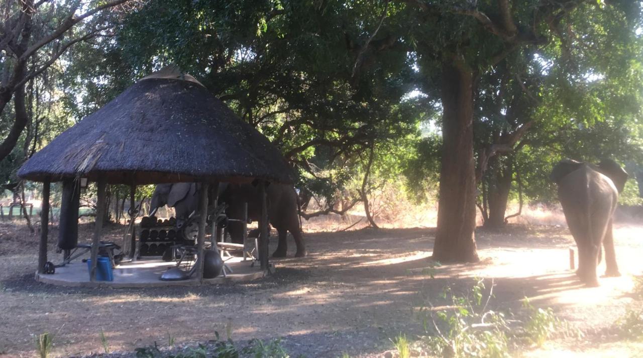 Kakumbi Track And Trail River Camp מראה חיצוני תמונה