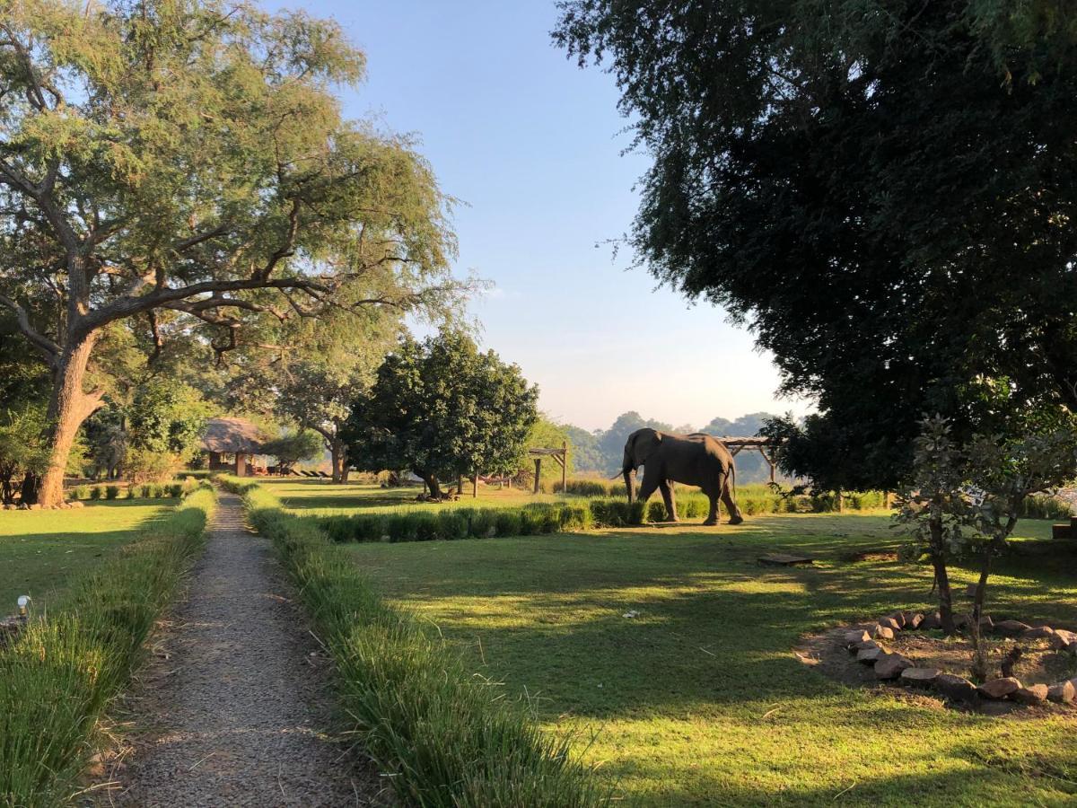 Kakumbi Track And Trail River Camp מראה חיצוני תמונה
